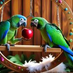 چرا طوطی‌ها به هم حمله می‌کنند و چگونه این رفتار را متوقف کنیم؟
