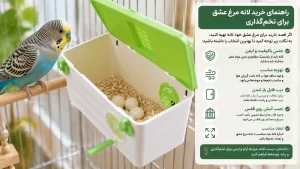 زمان‌بندی طلایی و نحوه صحیح نصب لانه