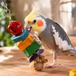 راهنمای خرید اسباب بازی برای عروس هلندی